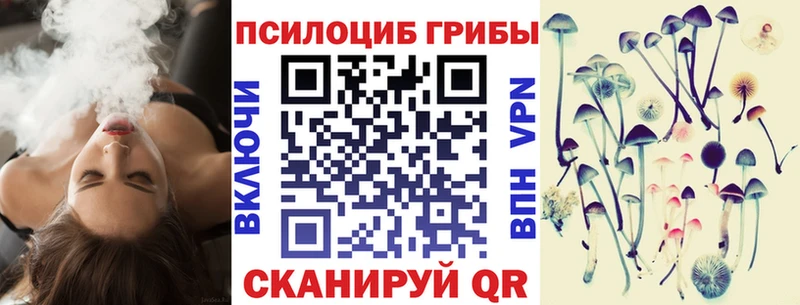 kraken зеркало  даркнет сайт  Черемхово  Псилоцибиновые грибы мицелий 